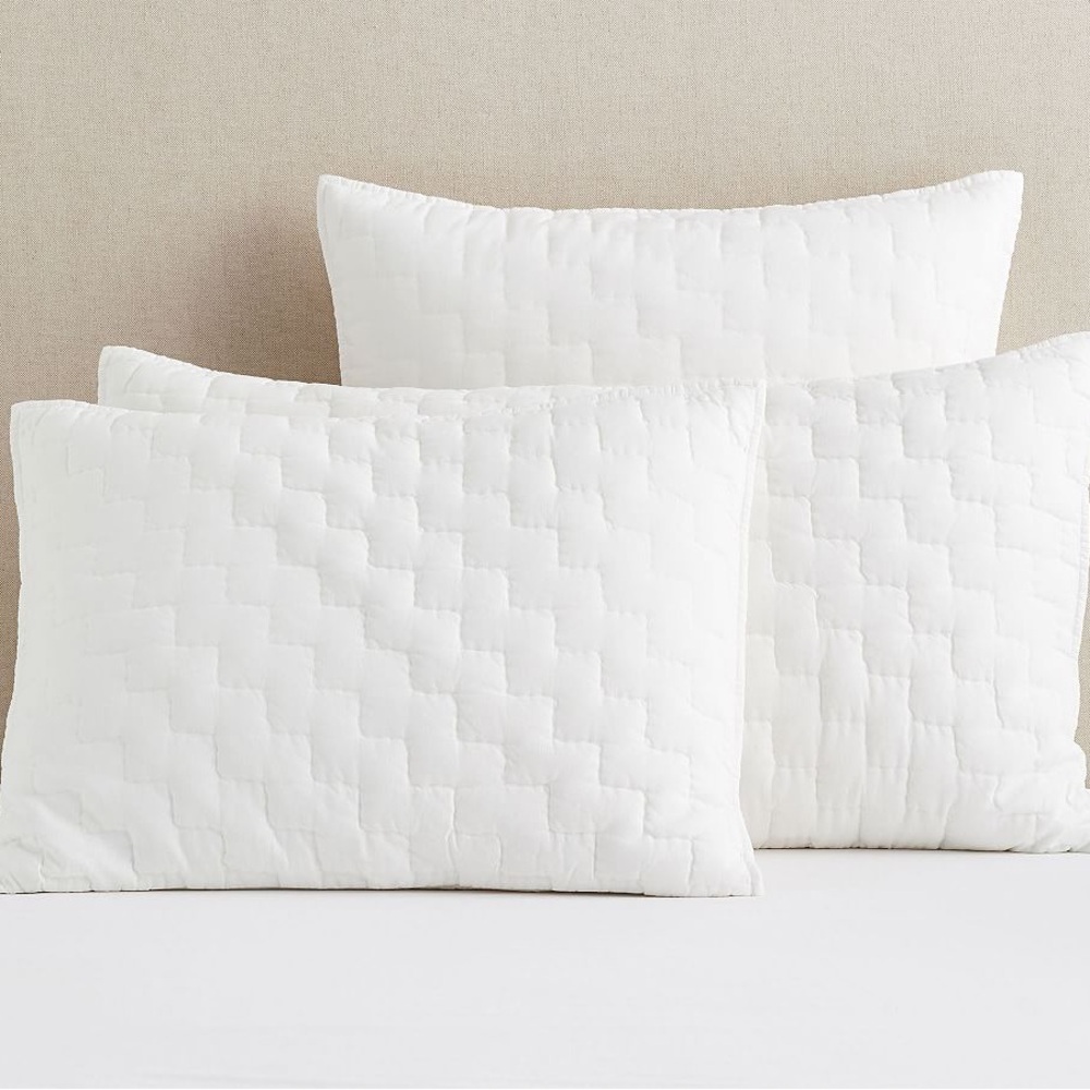 Pottery barn Bliss Standard Sham